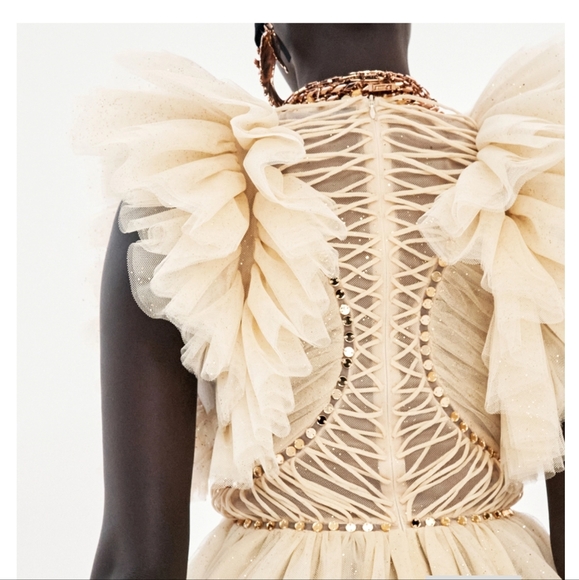 Zimmermann Dancer Glitter Tulle Ruffle Gown sz 1 NWT - Picture 6 of 9